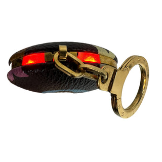 Louis Vuitton Multicolor Astropill Light Keychain