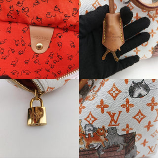 Louis Vuitton Catogram Speedy 30 White LV Bag Grace Coddington Exclusive Rare