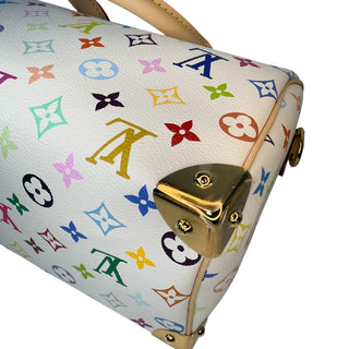 Louis Vuitton Murakam Multicolori Speedy 25 bag