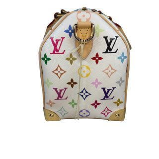 Louis Vuitton Murakam Multicolori Speedy 25 bag