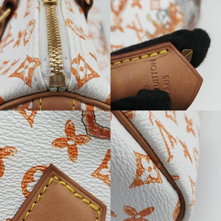 Louis Vuitton Catogram Speedy 30 White LV Bag Grace Coddington Exclusive Rare