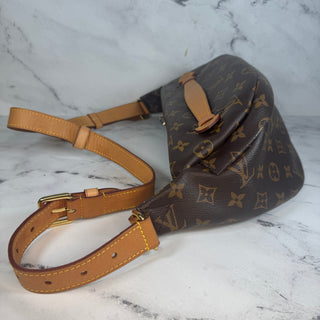 Louis Vuitton Monogram Bumbag