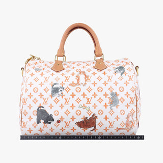 Louis Vuitton Catogram Speedy 30 White LV Bag Grace Coddington Exclusive Rare