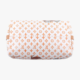 Louis Vuitton Catogram Speedy 30 White LV Bag Grace Coddington Exclusive Rare
