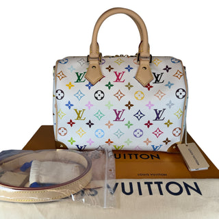 Louis Vuitton Murakami Multicolor Speedy 25 bag