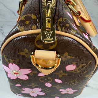 Louis Vuitton  LV X TM Cherry Blossom Speedy 25 Bag
