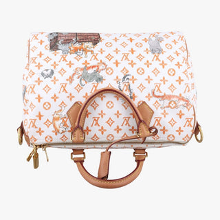 Louis Vuitton Catogram Speedy 30 White LV Bag Grace Coddington Exclusive Rare