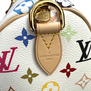 Louis Vuitton Murakam Multicolori Speedy 25 bag