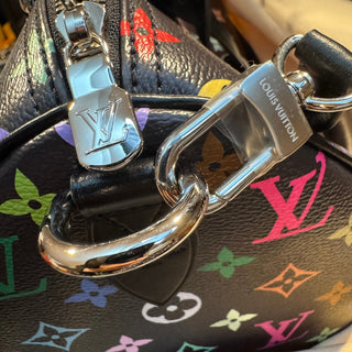Louis Vuitton LV x TM Multicolor Speedy 30