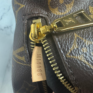 Louis Vuitton Monogram Bumbag