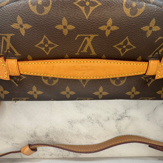 Louis Vuitton Monogram Bumbag