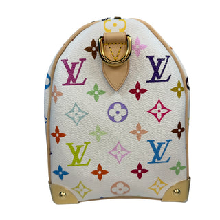 Louis Vuitton Murakam Multicolori Speedy 25 bag