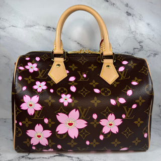 Louis Vuitton  LV X TM Cherry Blossom Speedy 25 Bag