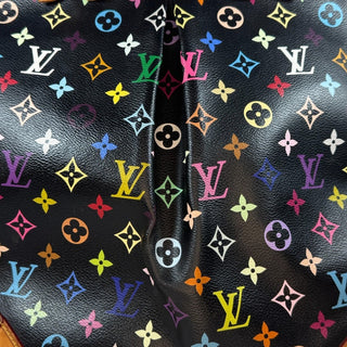 Louis Vuitton Murakami Multicolor Sharleen GM Bag