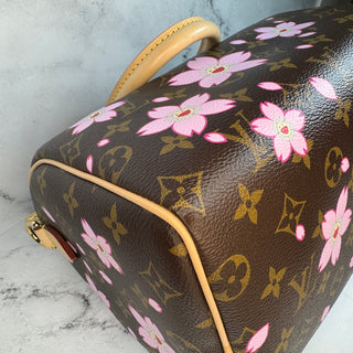 Louis Vuitton  LV X TM Cherry Blossom Speedy 25 Bag