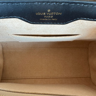 Louis Vuitton Trianon Trunk PM Bag