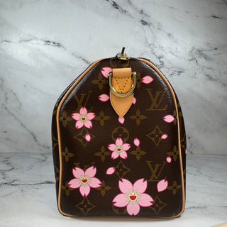 Louis Vuitton  LV X TM Cherry Blossom Speedy 25 Bag