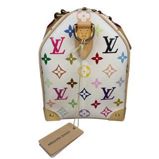 Louis Vuitton Murakami Multicolor Speedy 25 bag