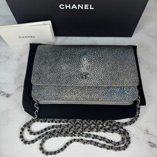 Chanel Iridescent Stingray Wallet on Chain Bag