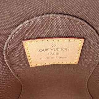 Louis Vuitton Monogram Mini Ellipse